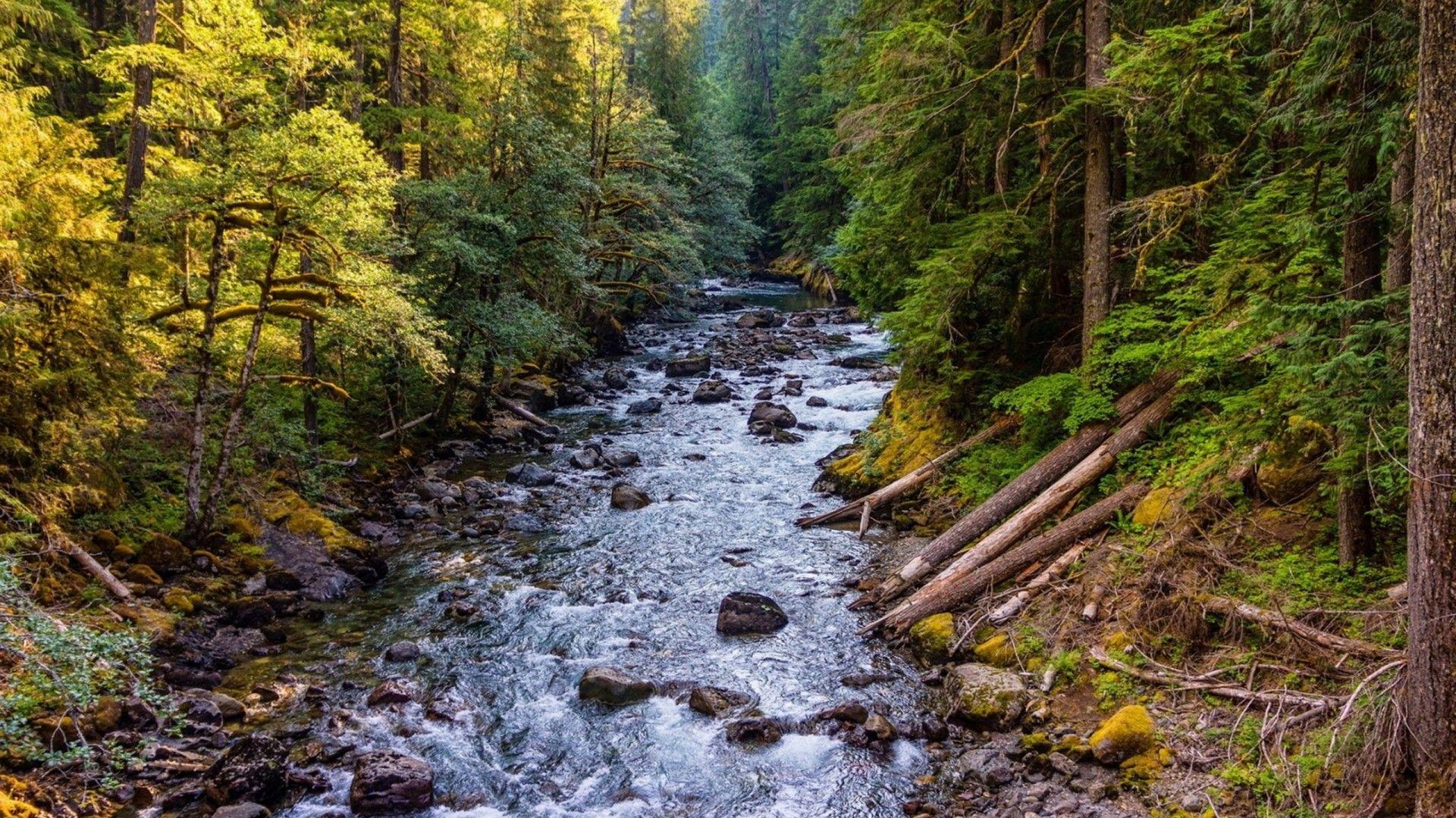 1920x1080 Beautiful HD Wallpaper, Mountain River, Rocks, Forest Trees 98632