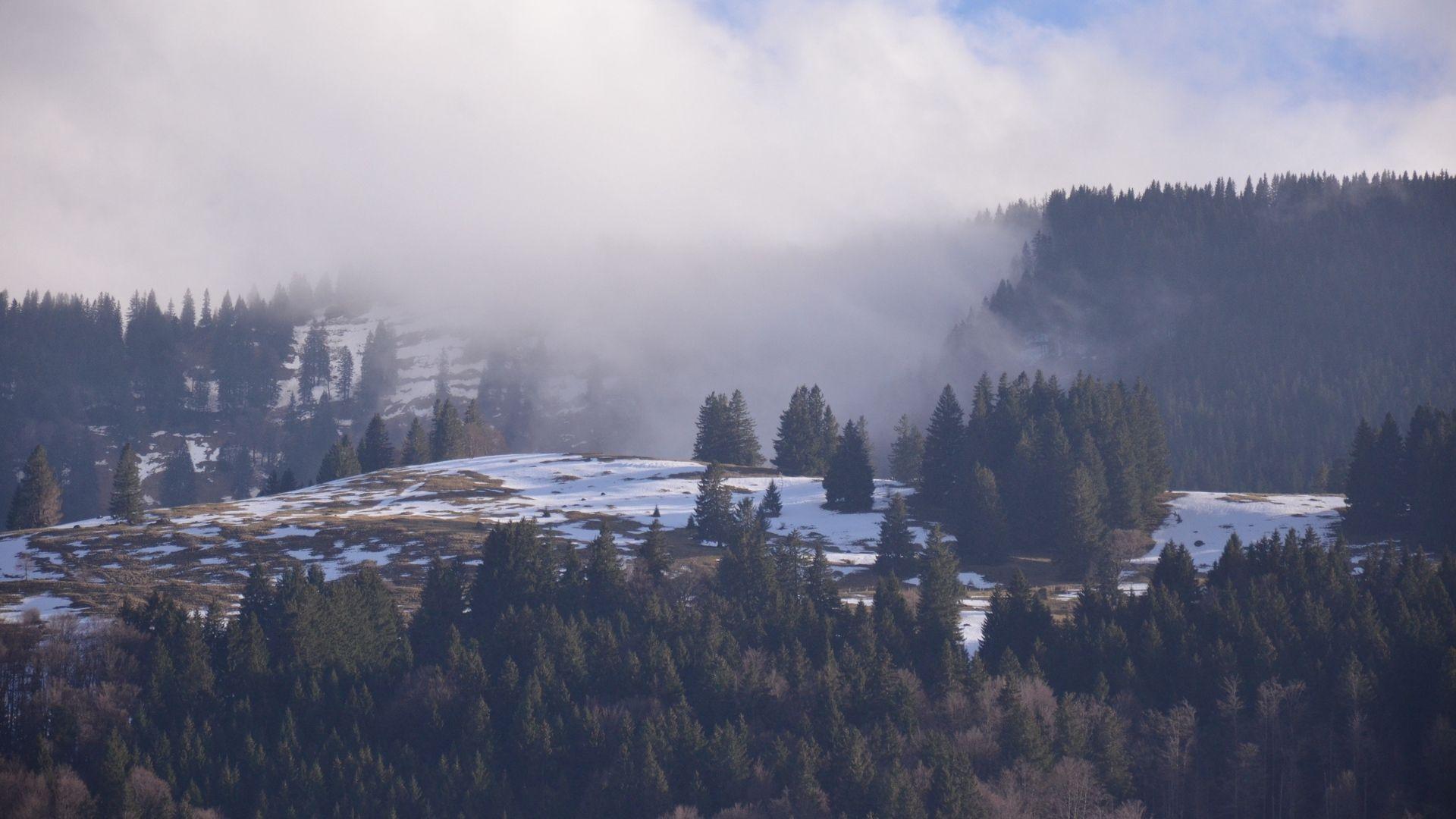 1920x1080 Download wallpaper 1920x1080 forest, mountains, snow, fog full HD