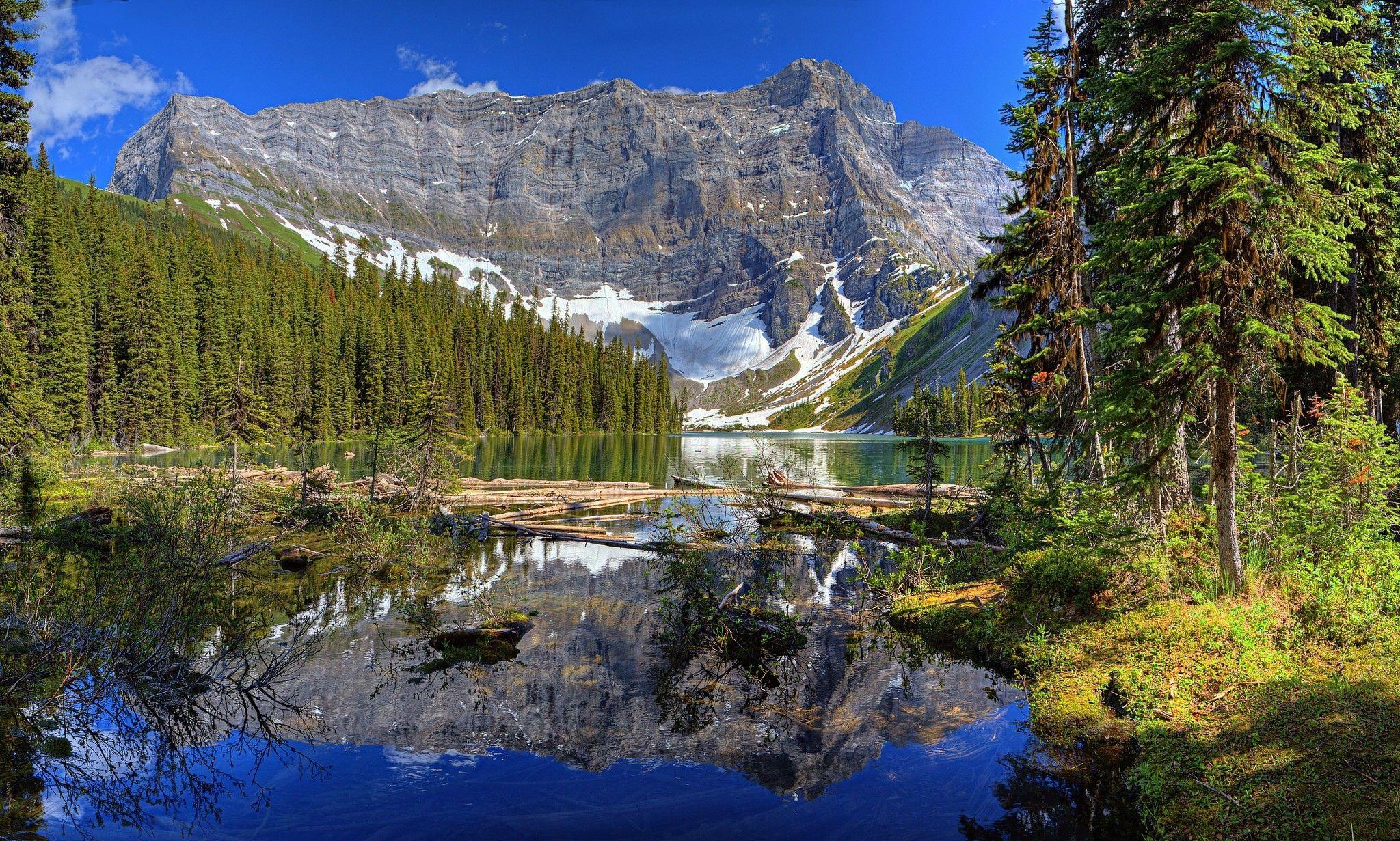 2048x1231 nature, Landscape, Mountain, River, Pine Trees, Forest Wallpaper