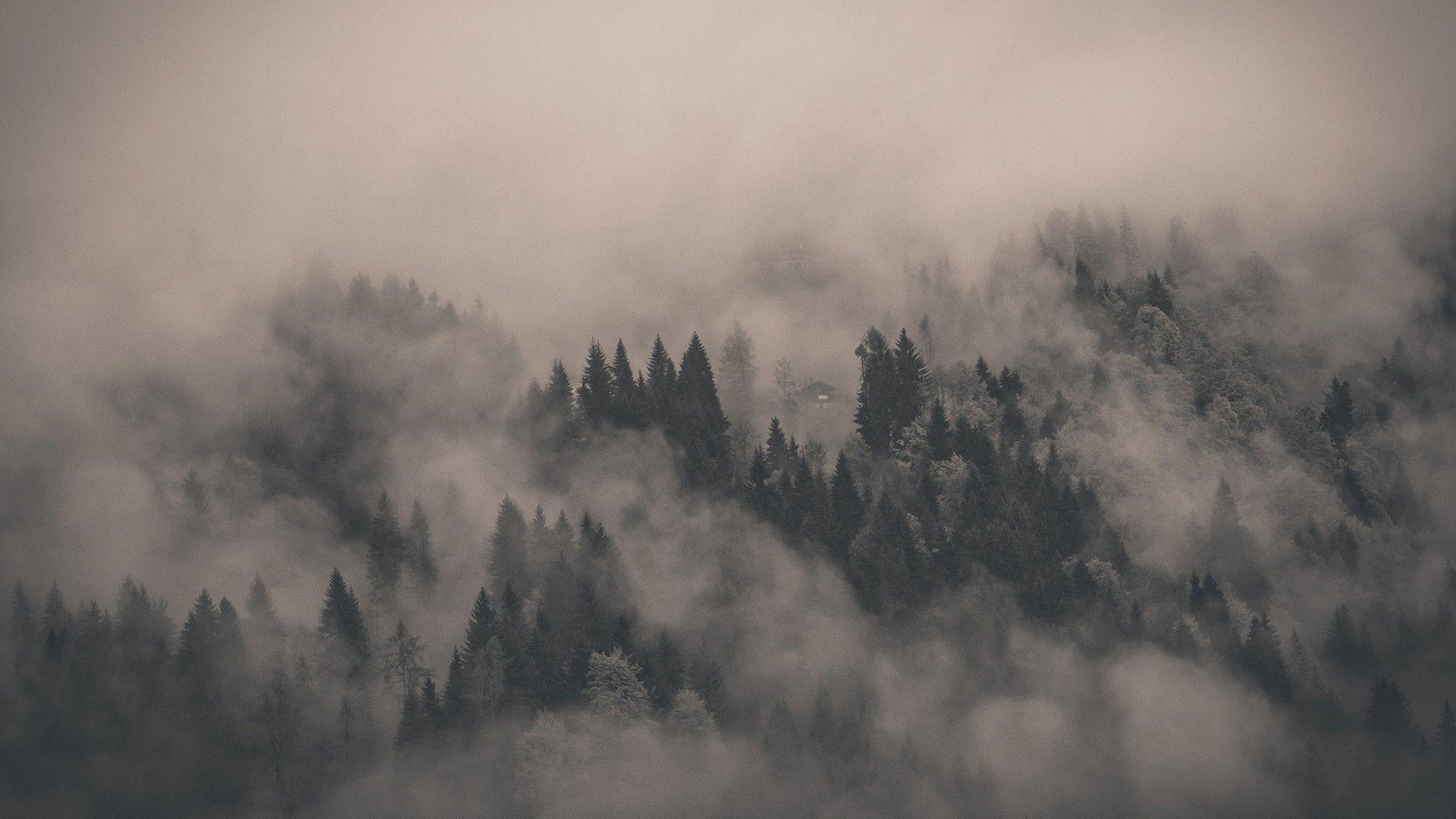 1920x1080 fog • meh.ro