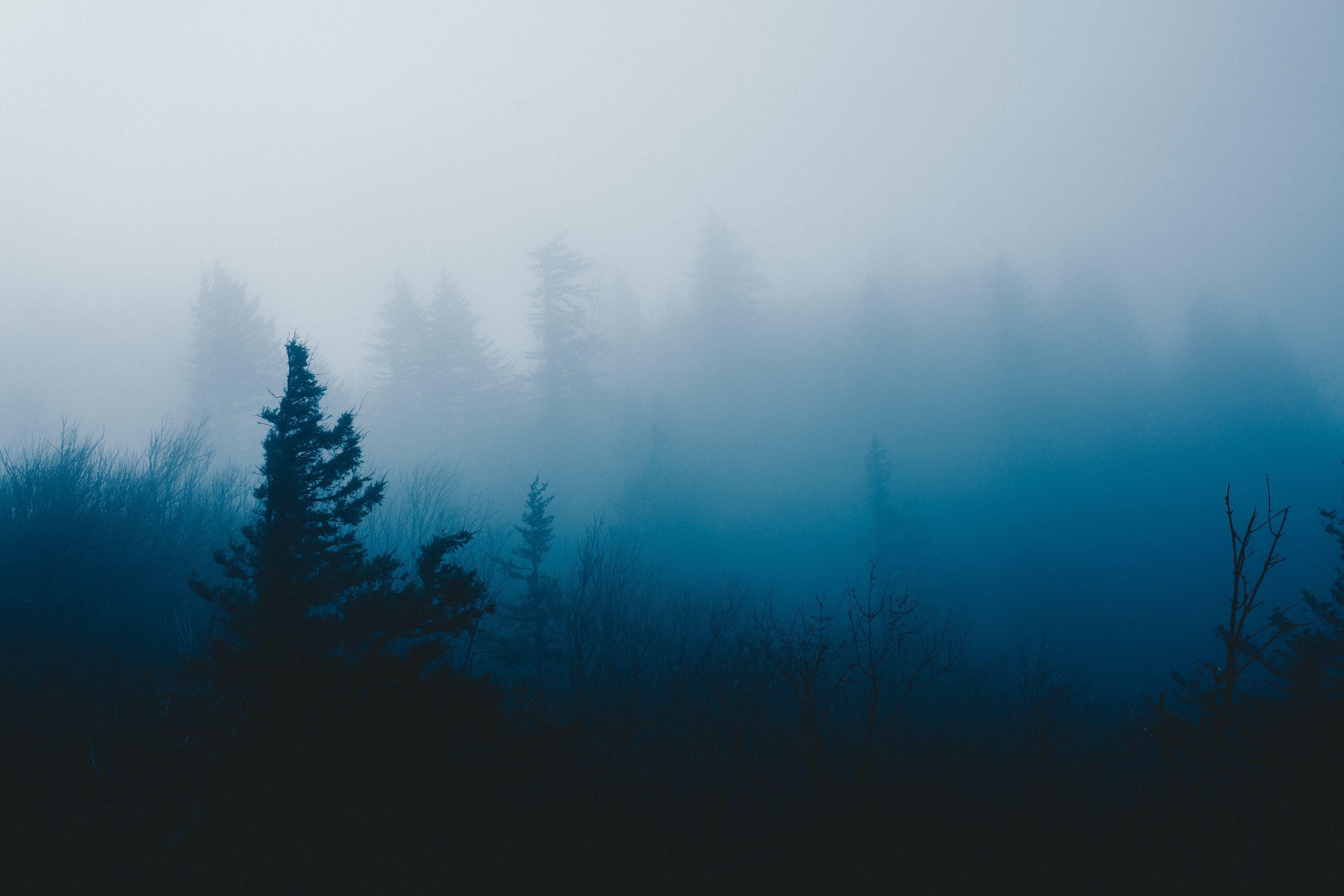Foggy Mountain Wallpapers - Top Free Foggy Mountain Backgrounds