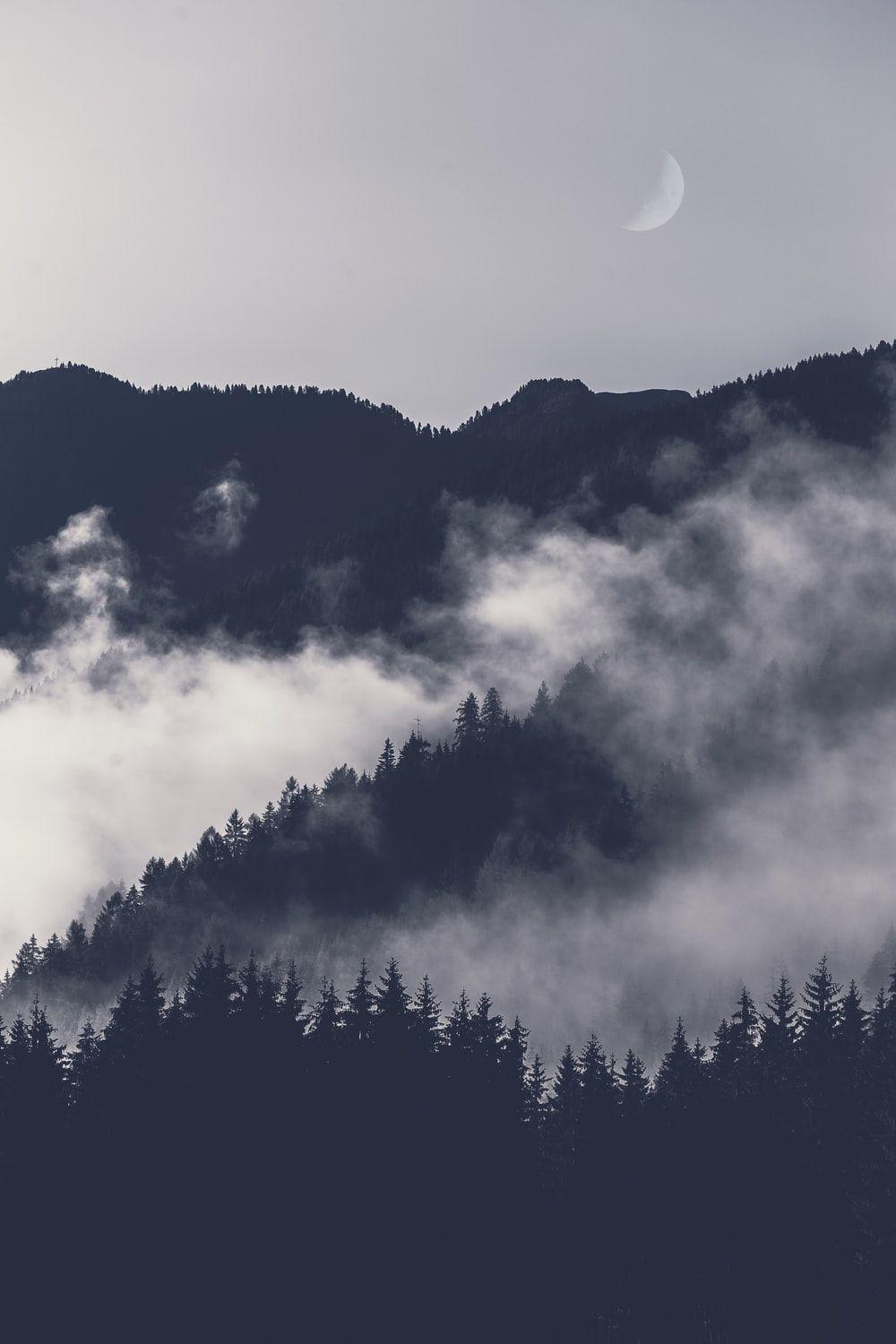 1000x1500 Mist Picture [HD]. Download Free Image