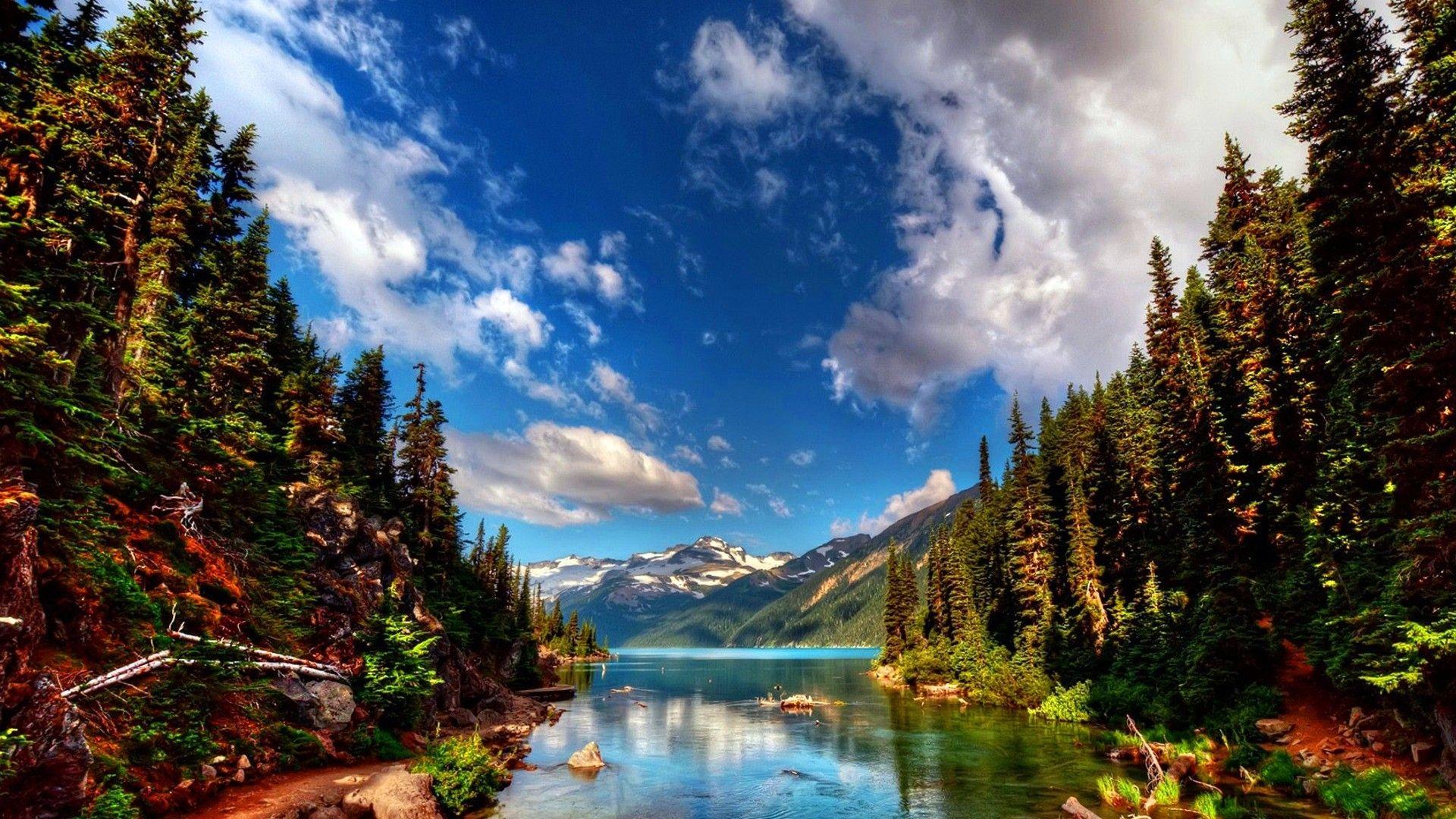 1920x1080 Mountain river in the forest Wallpaper