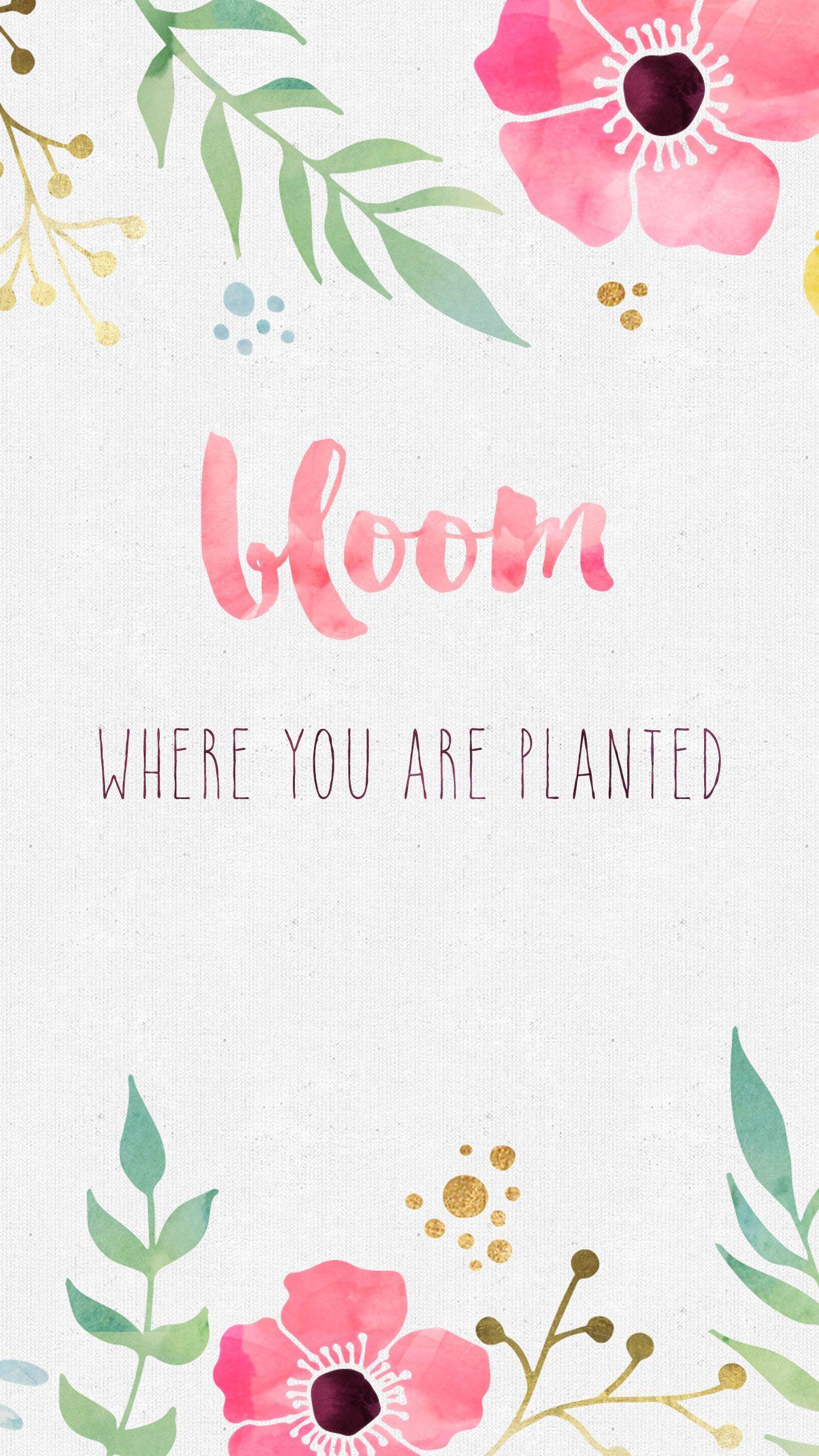 Funny Aesthetic Quotes Wallpaper Pastel Flower | 2 Quotes