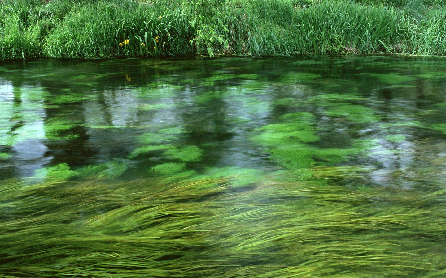 1440x900 Desktop Nature High Resolution Wallpaper Dowload