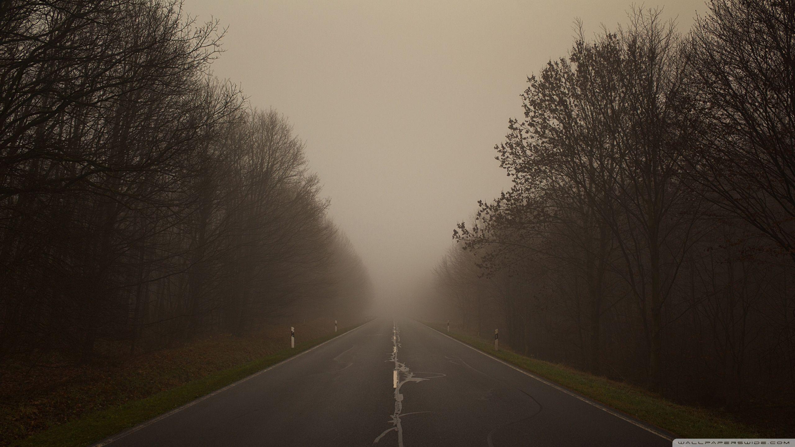 2560x1440 On A Foggy Day Ultra HD Desktop Background Wallpaper for 4K UHD TV