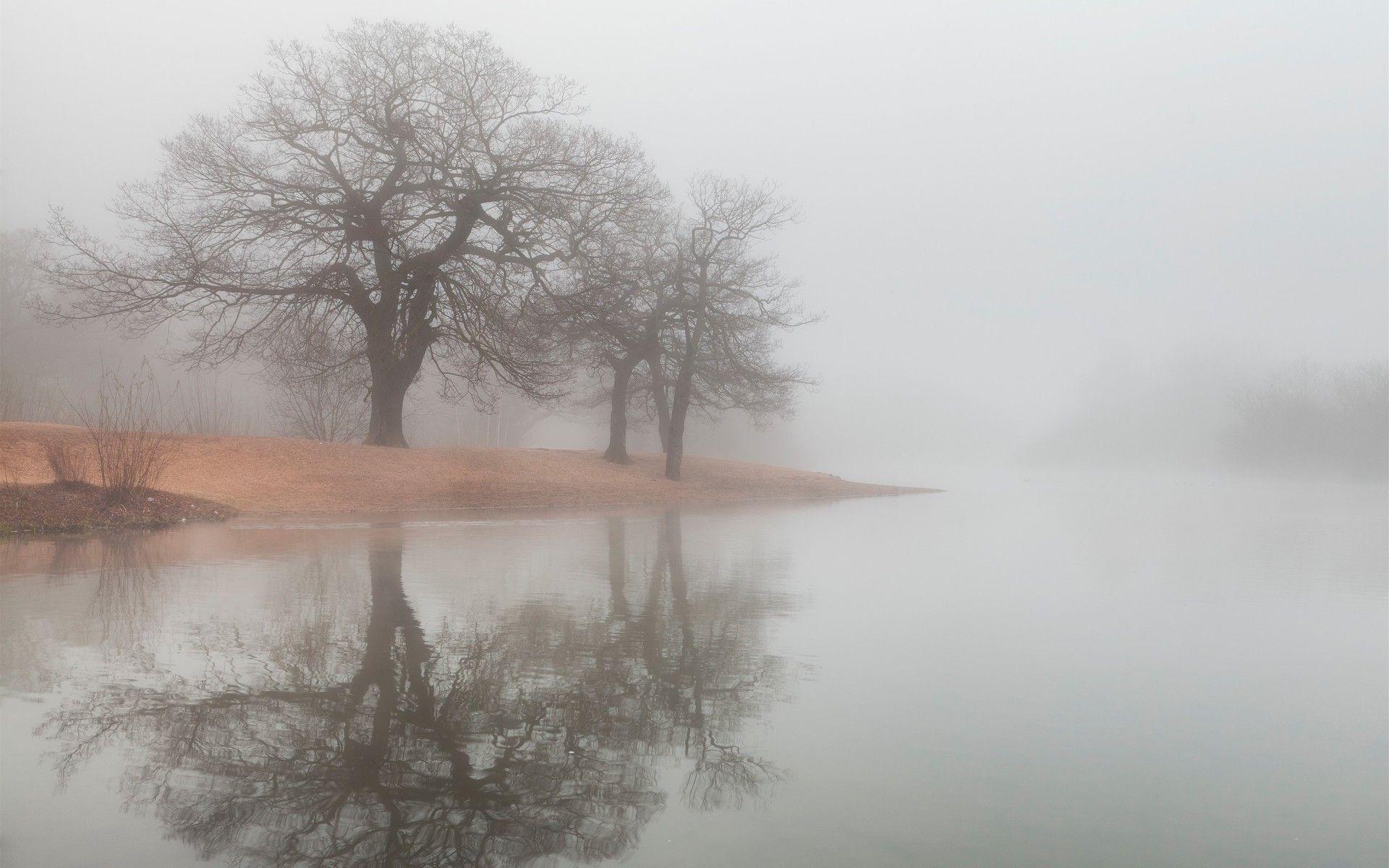 1920x1200 Fog HD Wallpaper Wallpaper Fog