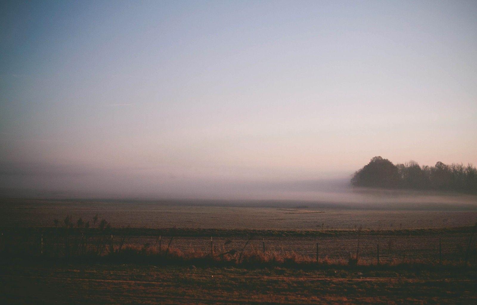 1600x1024 Landscape, Nature, Field, Foggy, HD City Wallpaper, Places