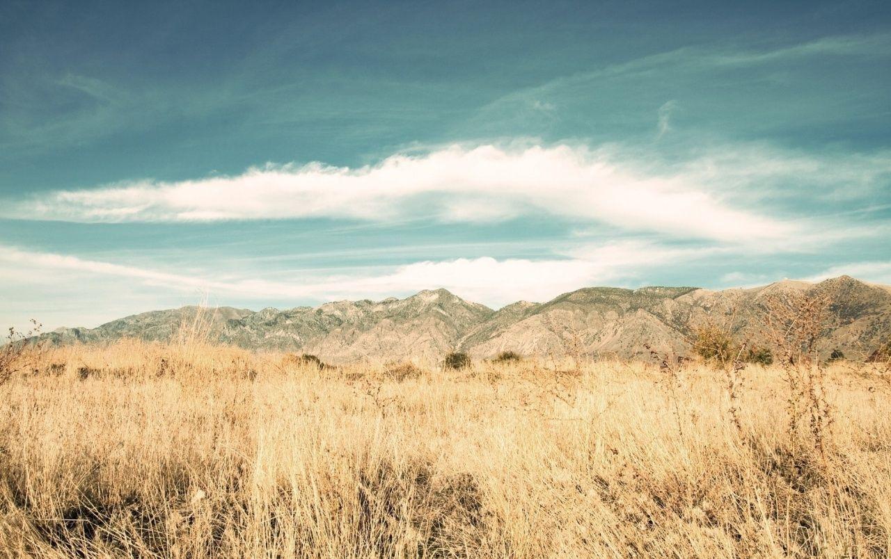 1280x804 Cloudy Sky & Grass Field wallpaper. Cloudy Sky & Grass Field