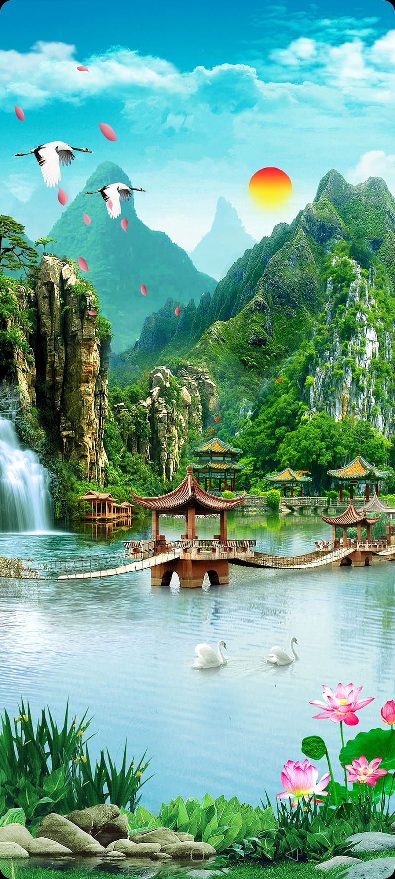 800x1778 HD beautiful green nature wallpaper