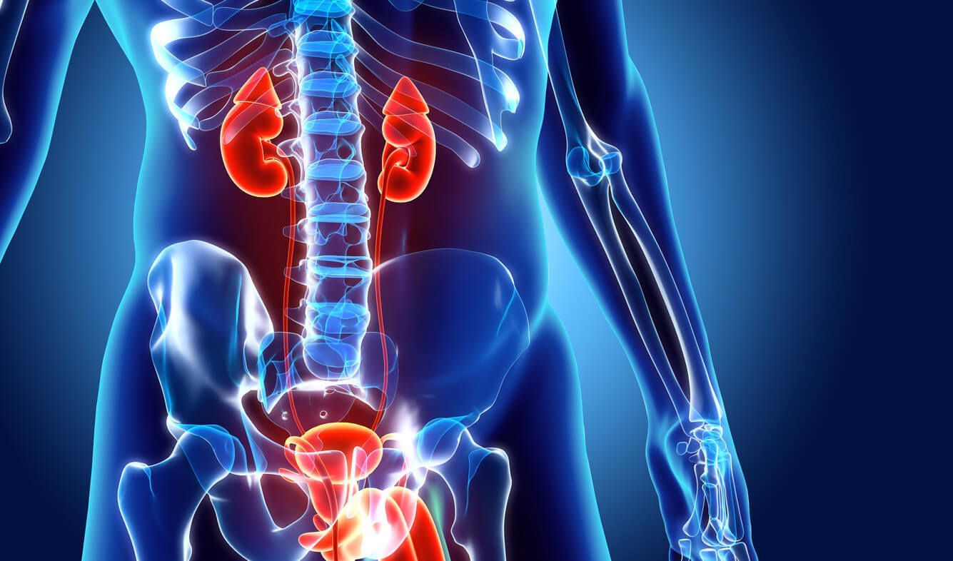 1335x786 Common Urological Conditions Found in Men Over 50 Avila Jr., MD