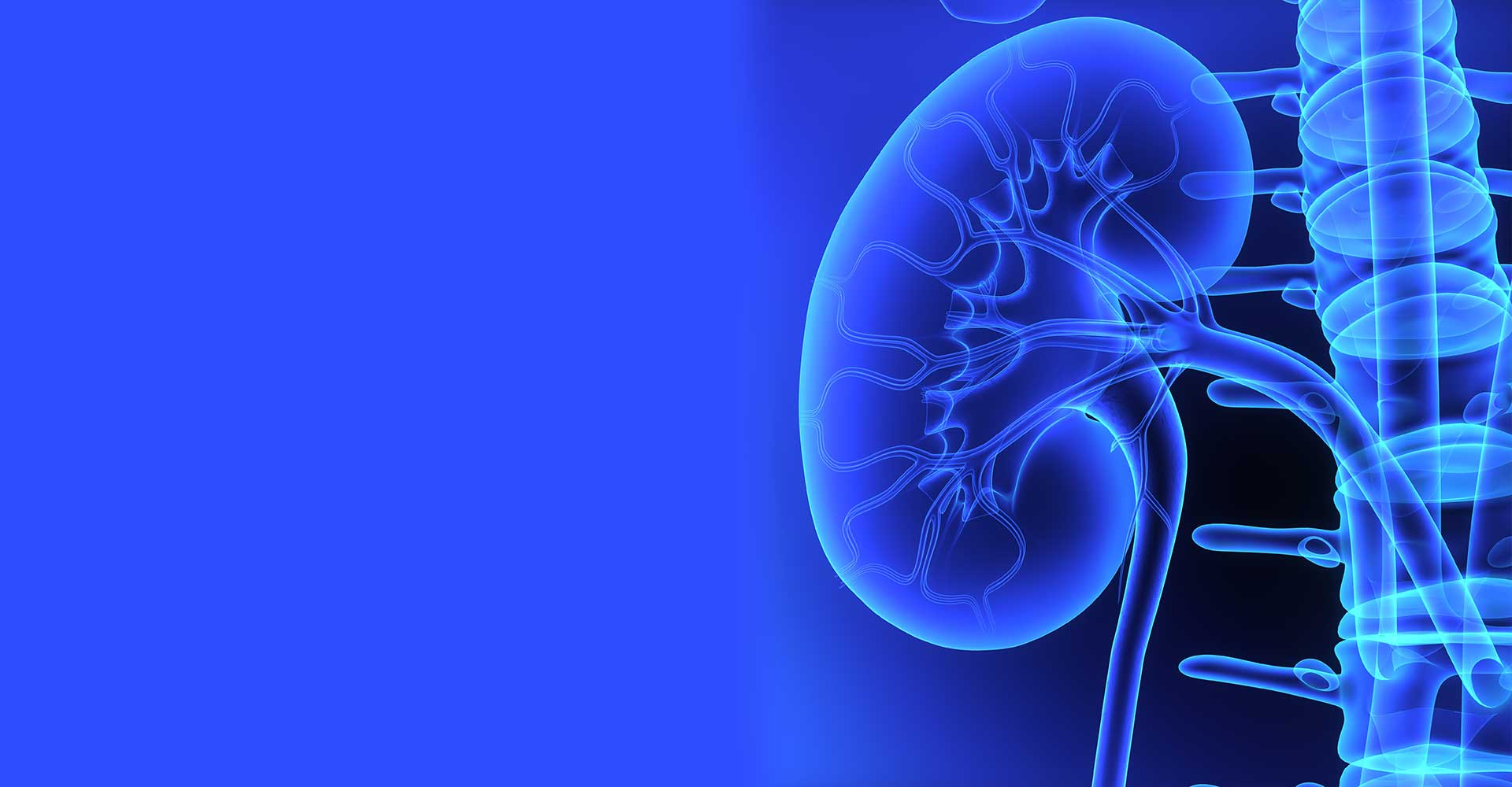 1920x1000 Go With The Flow: An Introduction to Urology