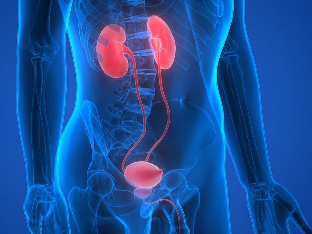 1024x768 Best Urology Clinic in Hyderabad Neurology and Urology Clinic