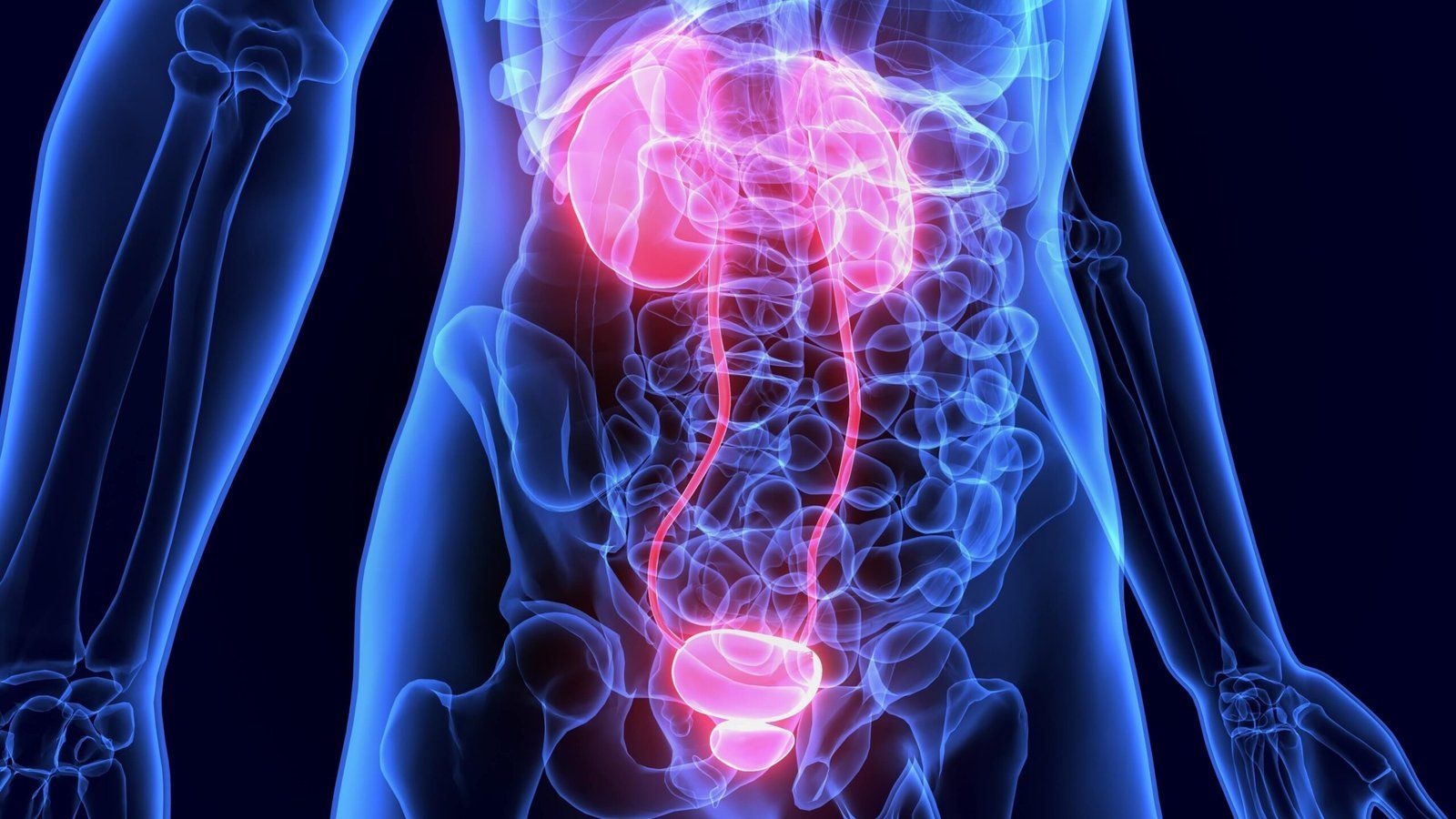 1600x900 Urology