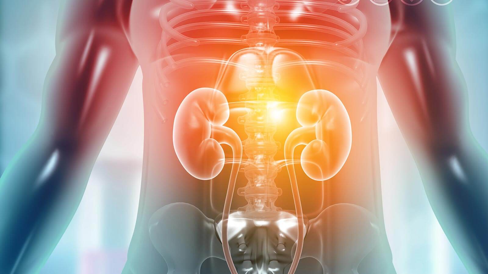 1600x900 Urology Medical Professionals. University Hospitals. Cleveland, OH