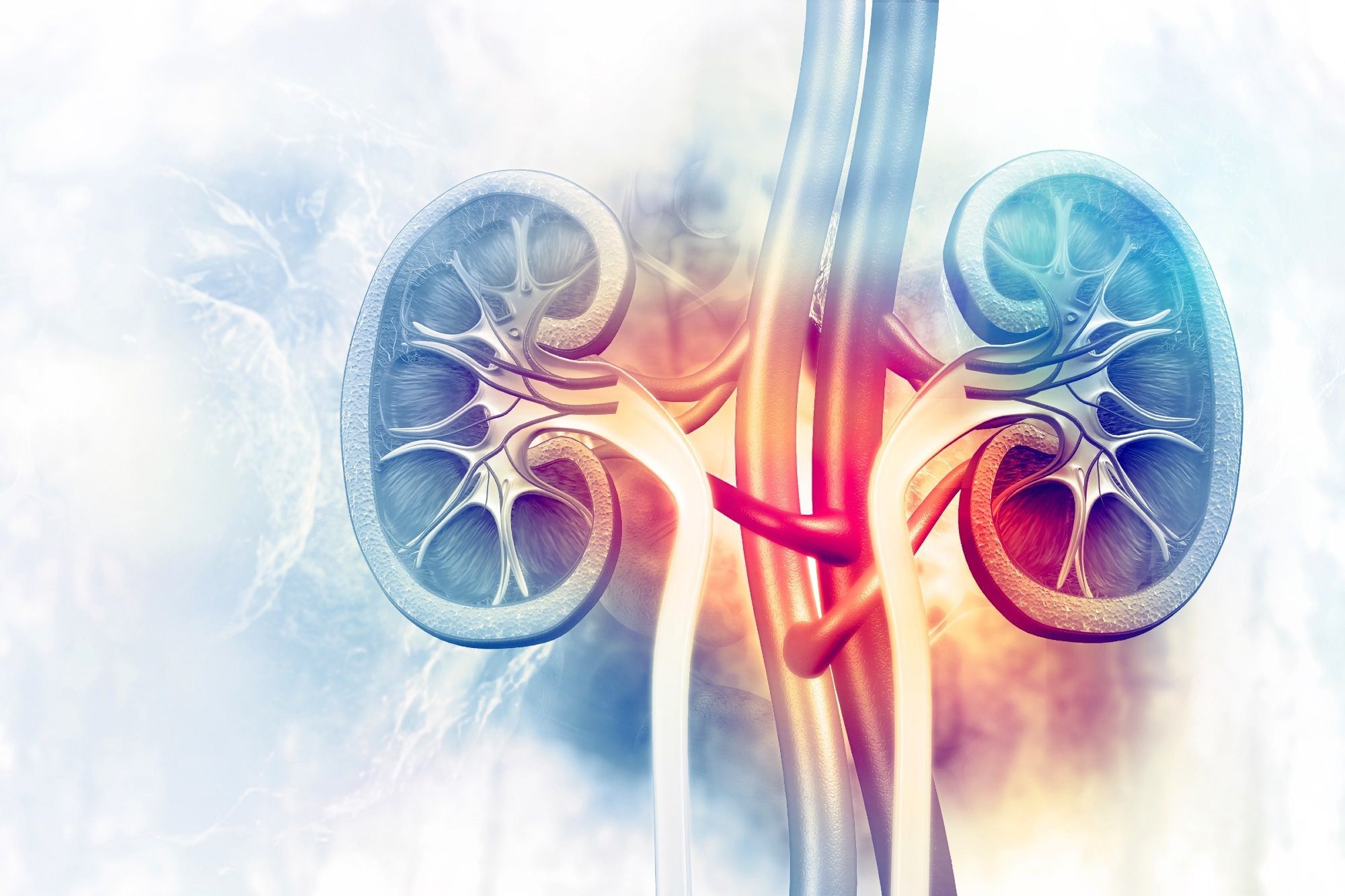 2000x1333 Climate change is pushing up rates of kidney disease and urological cancers