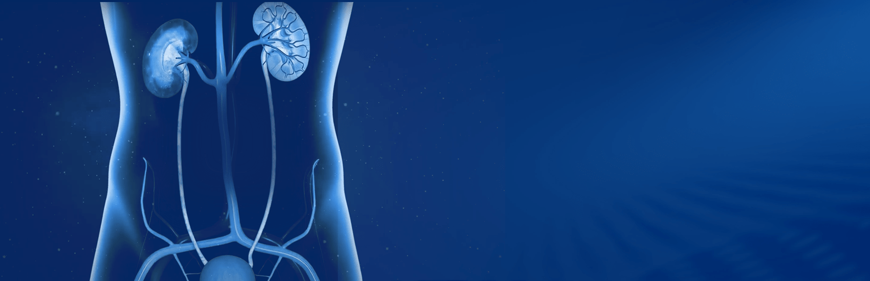 1700x550 MOSES 2.0 Technology for Lithotripsy
