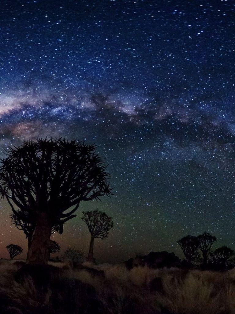 768x1024 Milky Way Over Quiver Tree Forest, space, nasa, galaxies