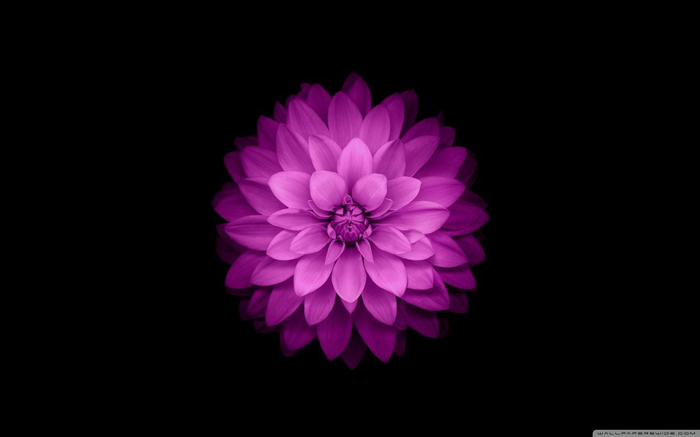 iOS PC Wallpapers - Top Free iOS PC Backgrounds - WallpaperAccess