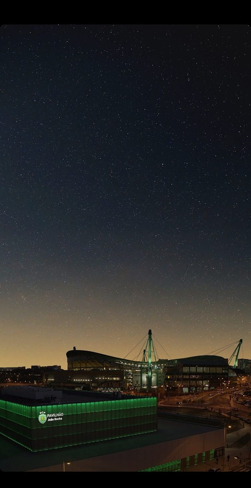 800x1552 Sporting CP, football, portugal, stadium, HD phone wallpaper