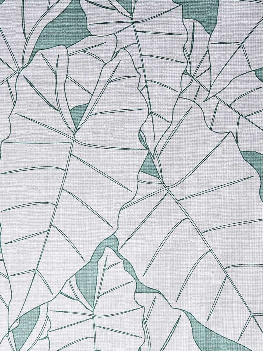 900x1200 Green Alocasia wallpaper