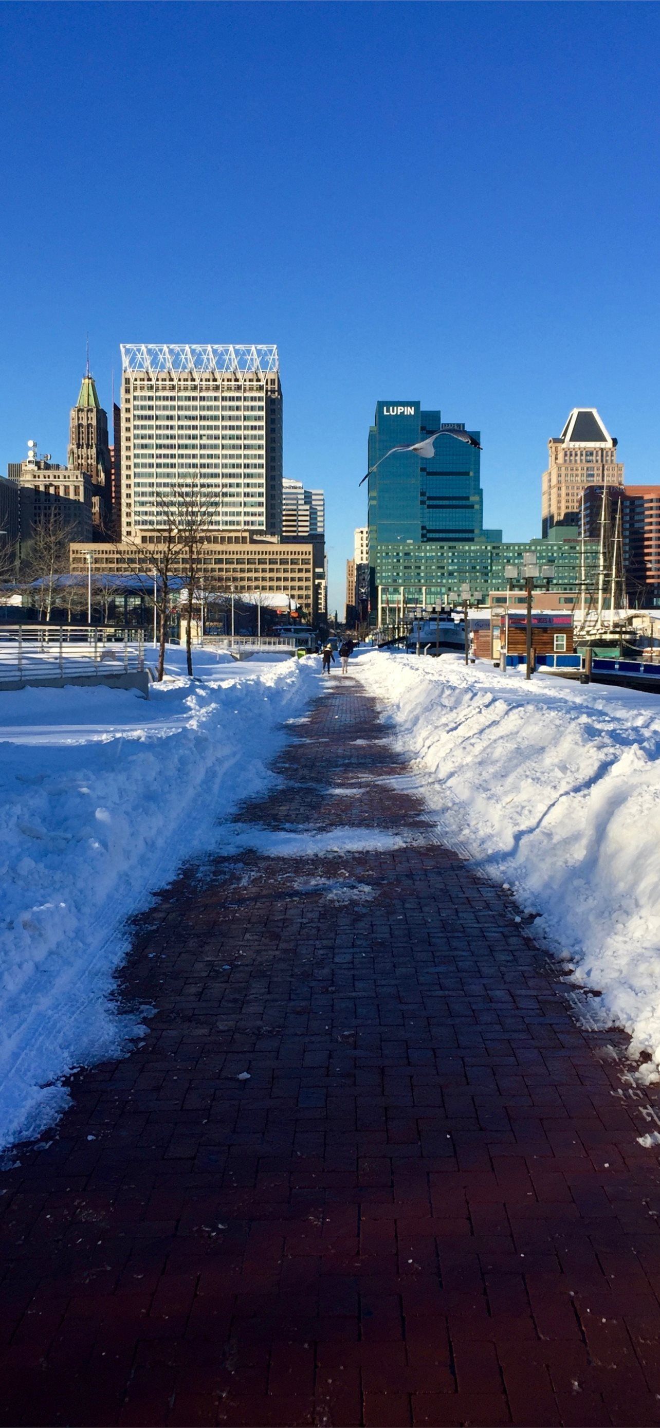 1284x2778 Snowing In Baltimore City Of Maryland State USA United States