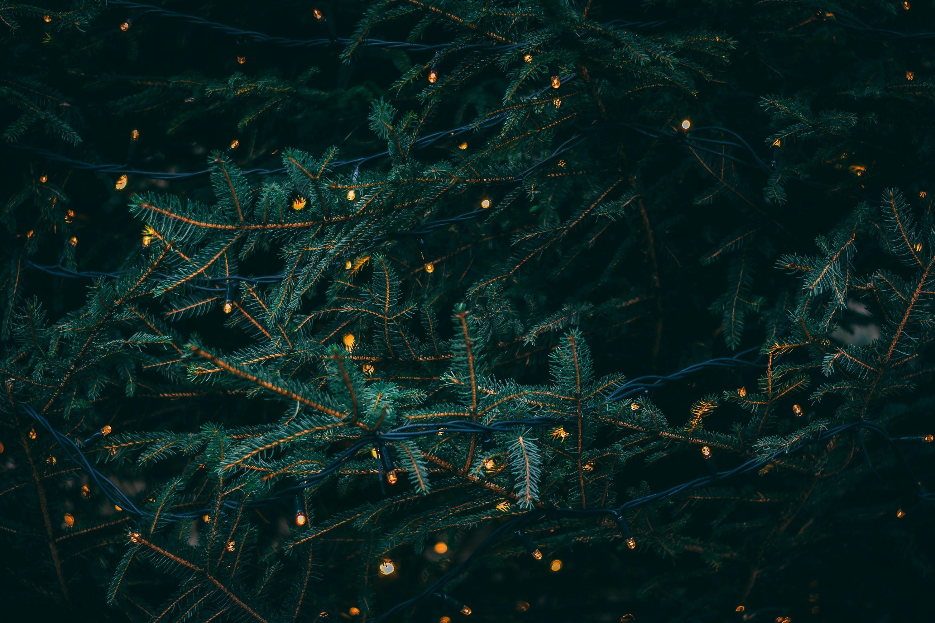 3000x2000 Cozy Wallpaper 4K & HD Downloads