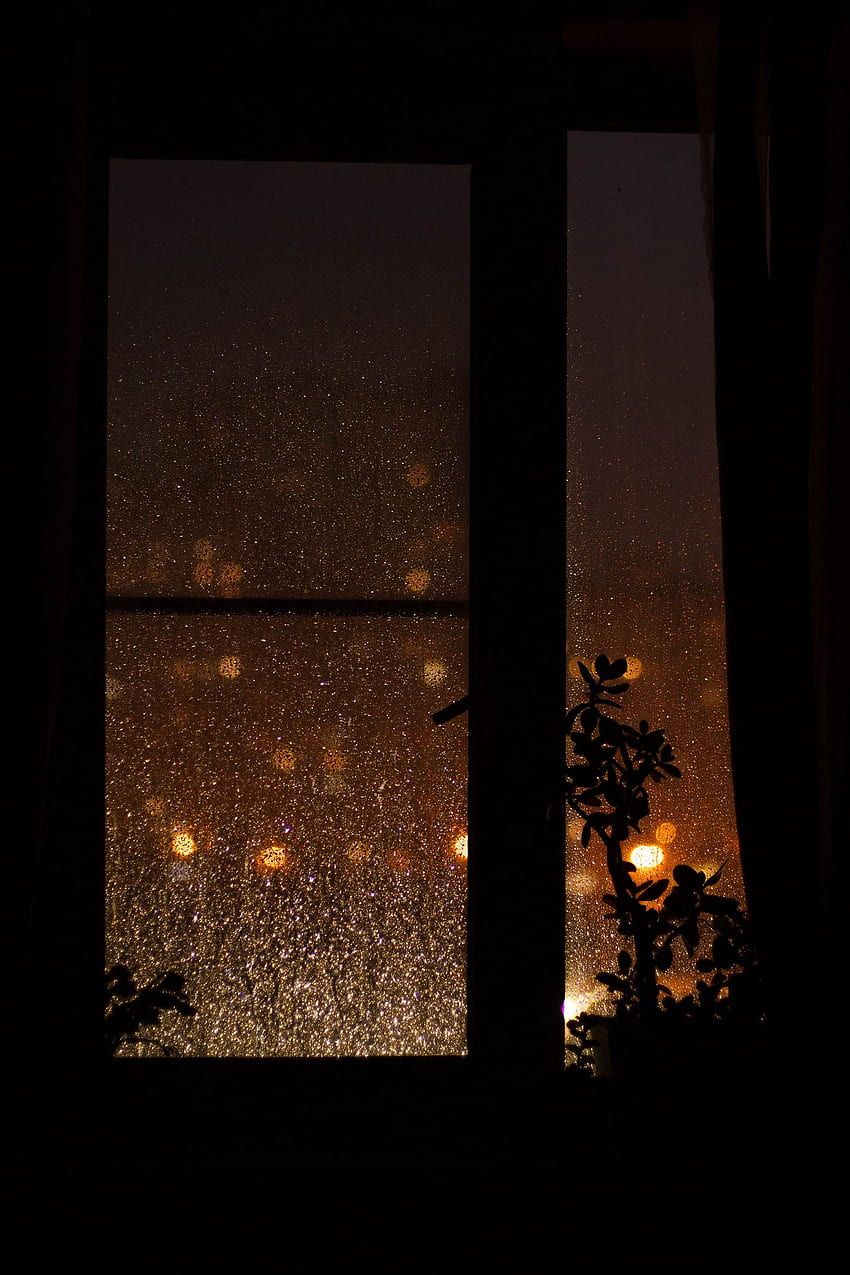 850x1275 Cozy night HD wallpaper