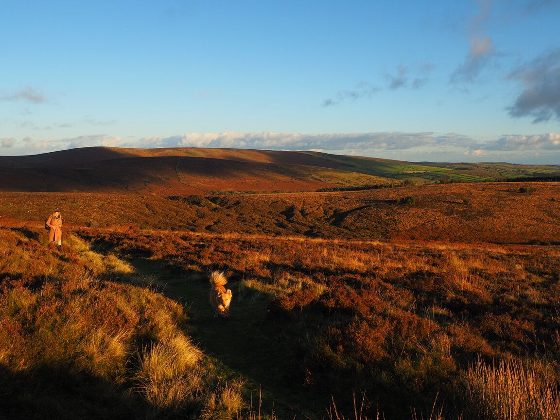 1152x864 The rugged beauty of Dartmoor National Park, Devon