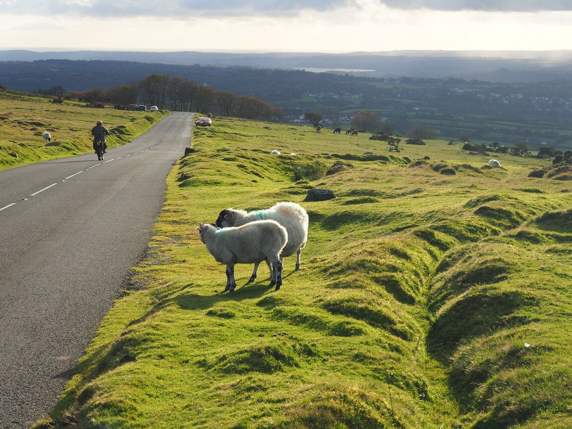 1152x864 The rugged beauty of Dartmoor National Park, Devon