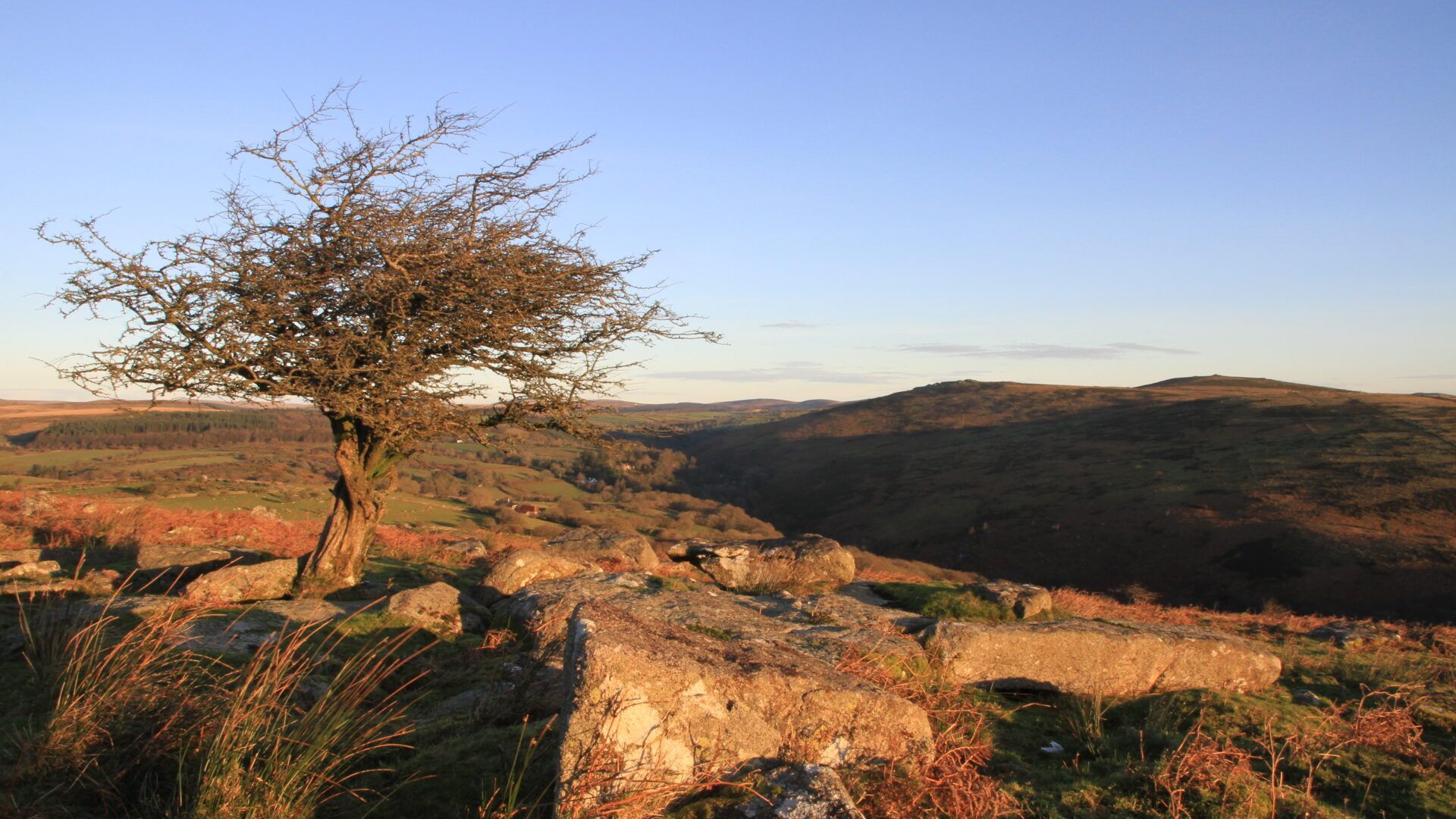 1920x1080 Discover: Dartmoor