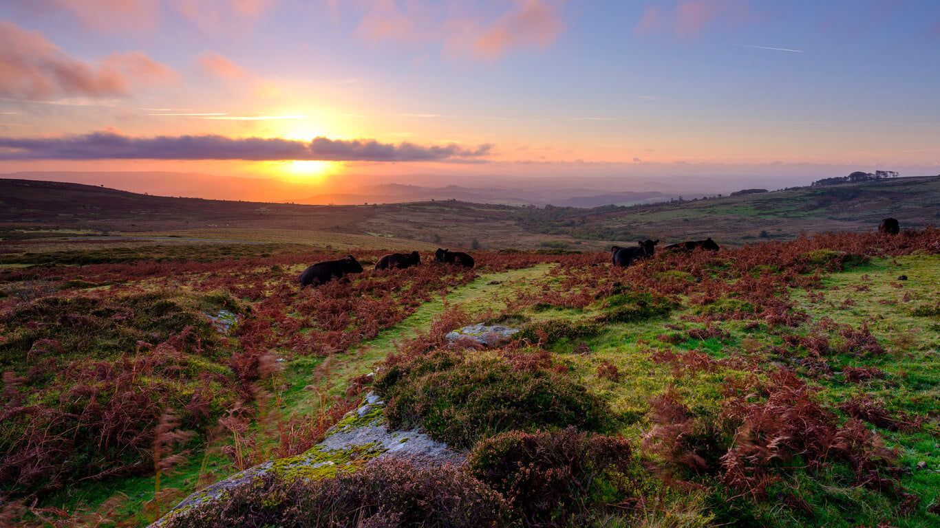 1366x768 Great Places To Go Paddle Boarding On Dartmoor