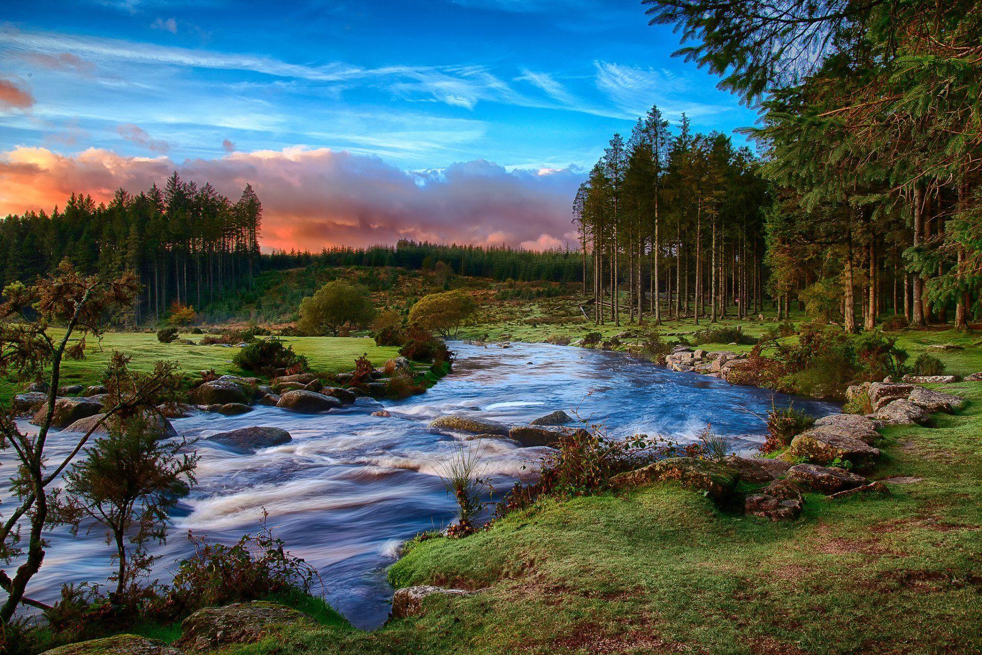 1920x1282 Dartmoor Forest Trees Wallpaper