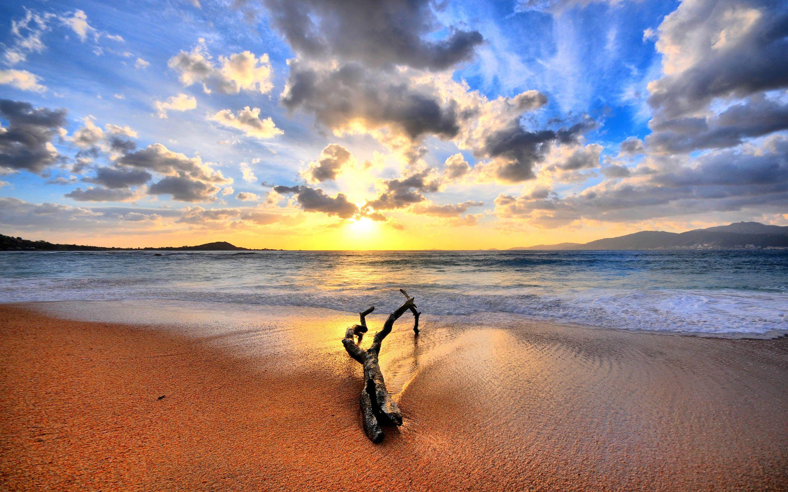 2560x1600 HD Beach Driftwood Shore Sunrise High Resolution Wallpaper Image