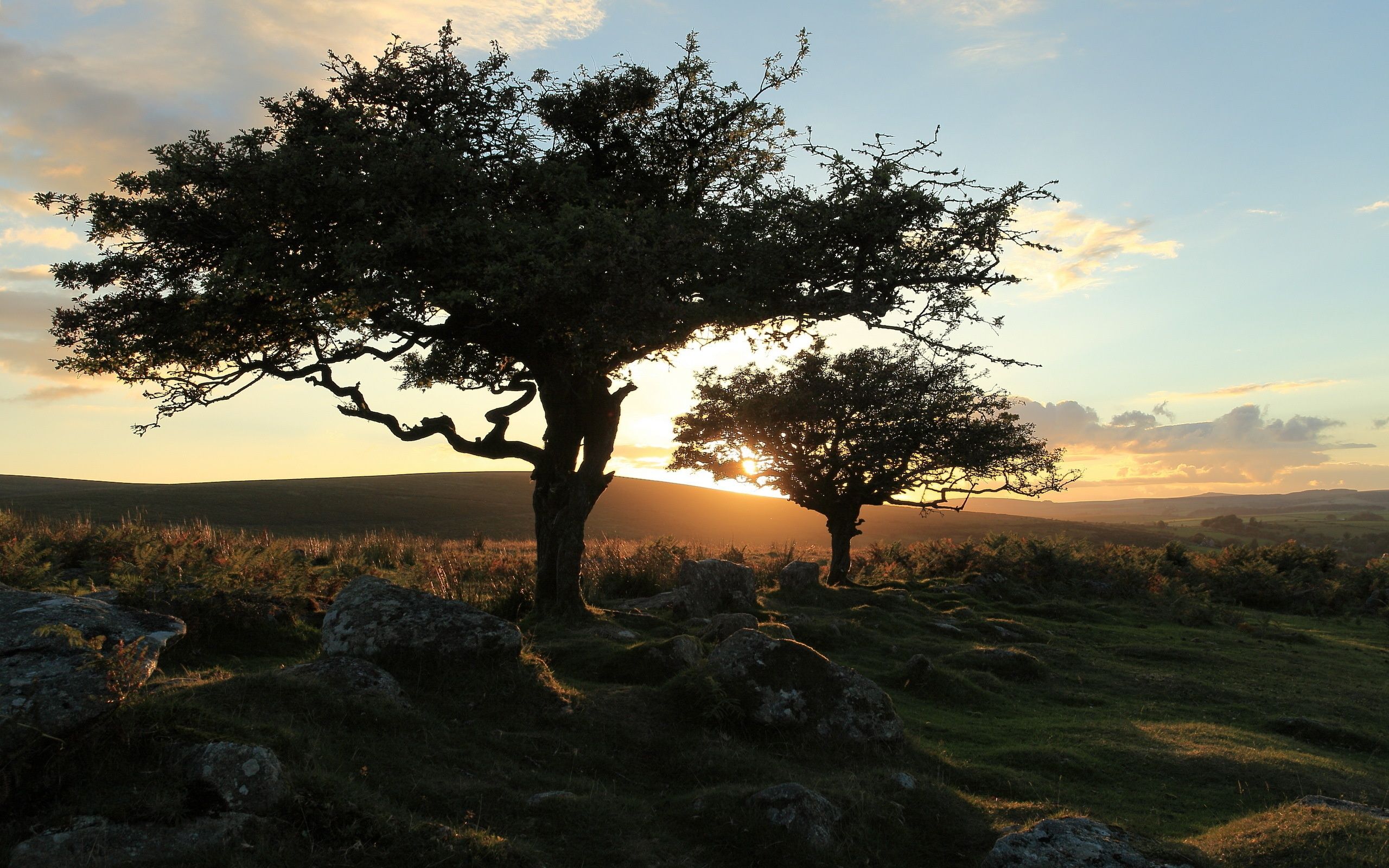 2560x1600 Wallpaper trees, landscape, nature, sunset, Dartmoor for mobile and desktop, section пейзажи, resolution 2560x1600