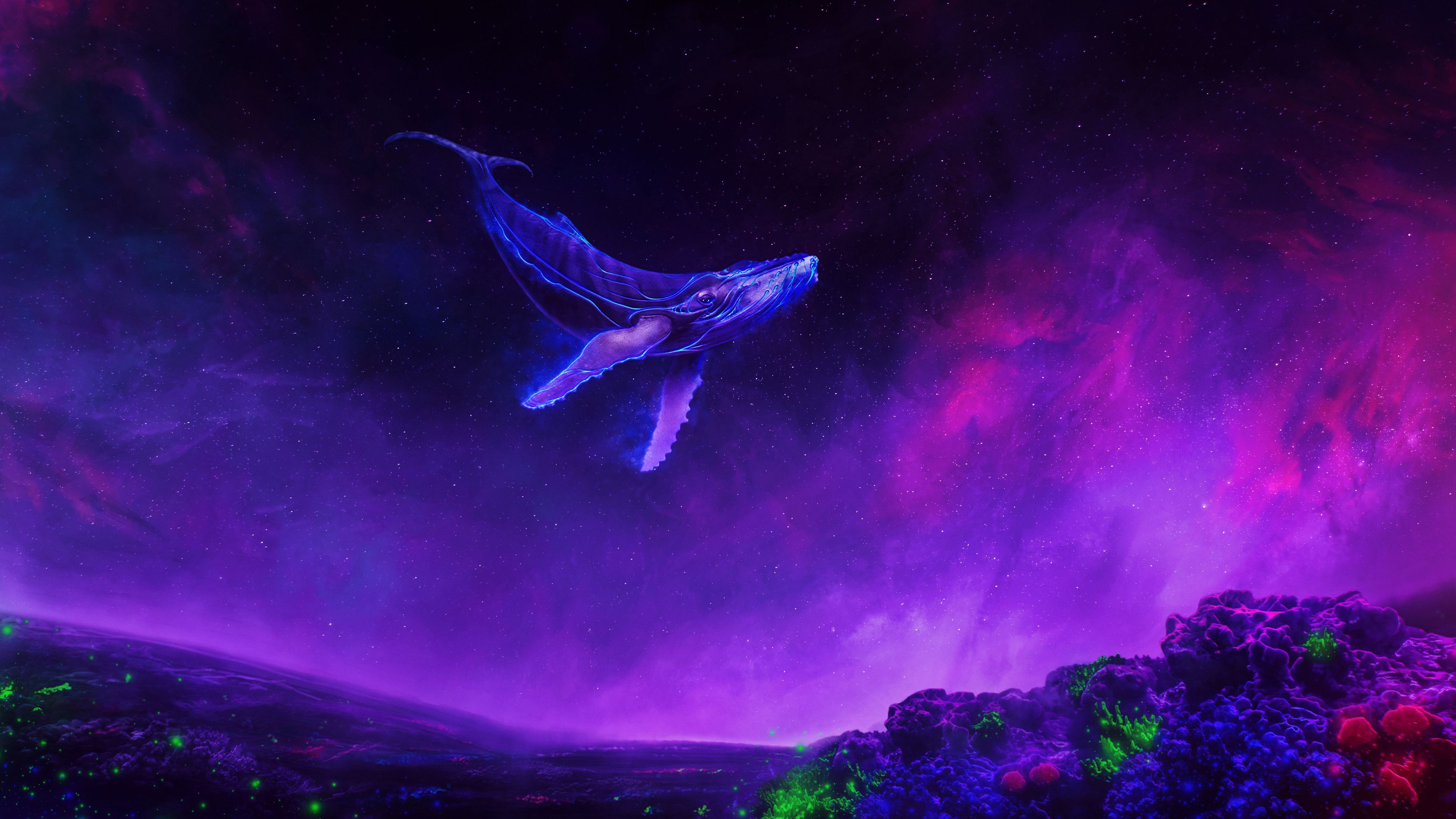 3840x2160 Whale Wallpaper 4K, Surreal, Lucid, Colorful space