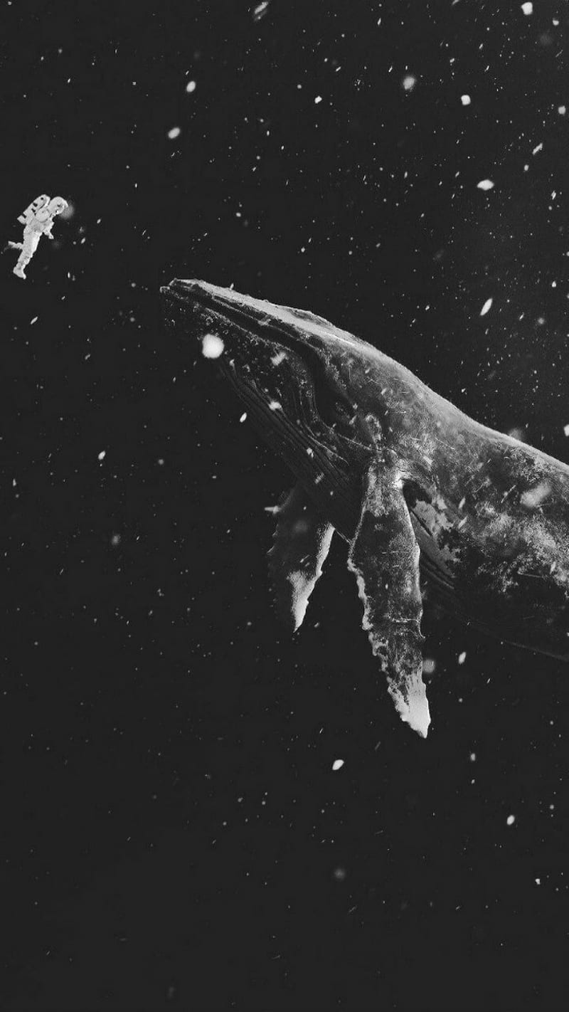 800x1422 HD star whale wallpaper