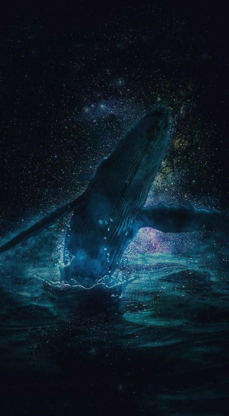 800x1456 Whale, beautiful, ocean, animals, cosmos, glow, sea, HD phone wallpaper