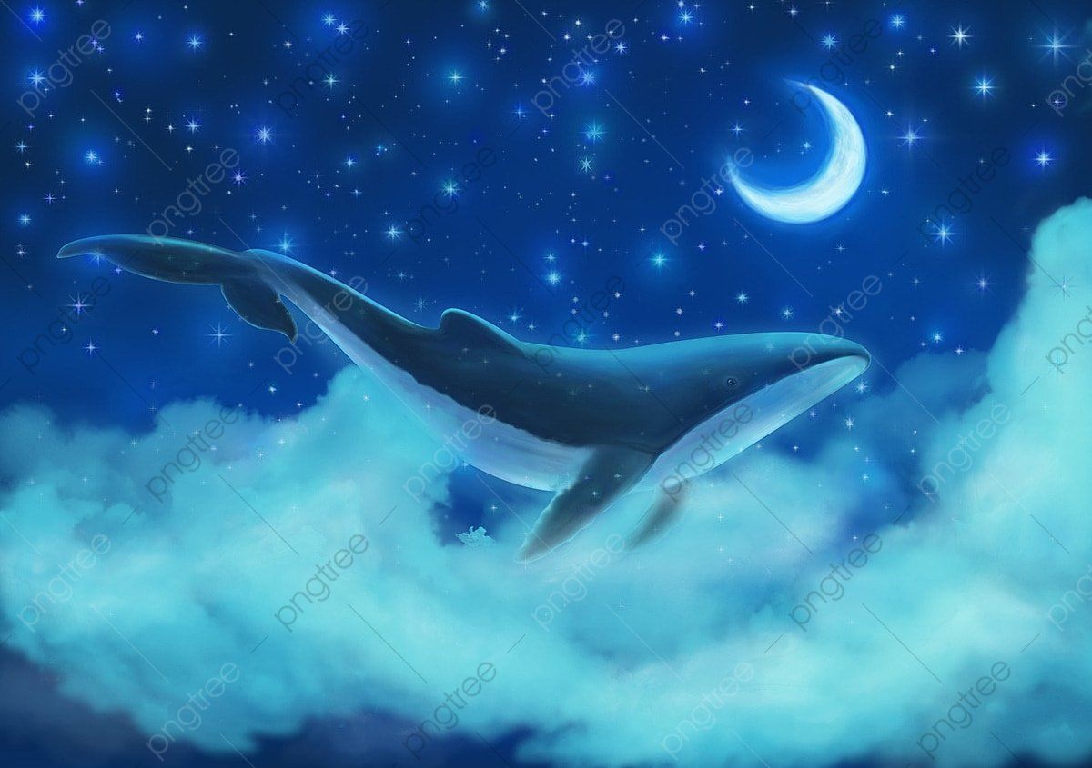 1200x845 Whales Roam Freely In The Blue Sky, Whale, Ocean, Hand Draw Illustration Background And Wallpaper For Free Download