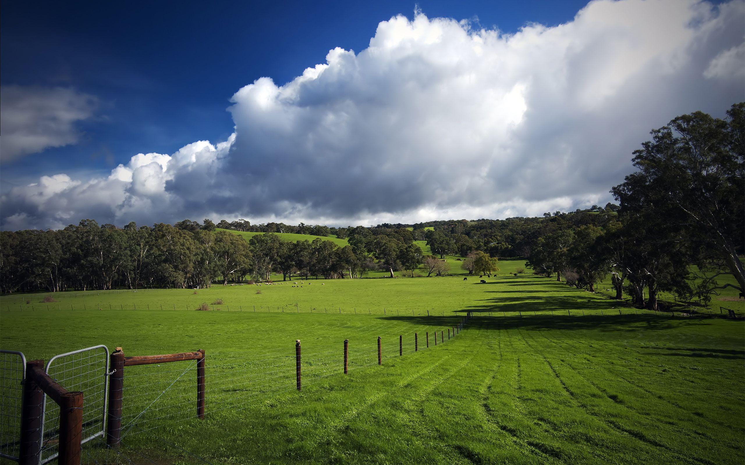 Pasture Wallpapers - Top Free Pasture Backgrounds - WallpaperAccess