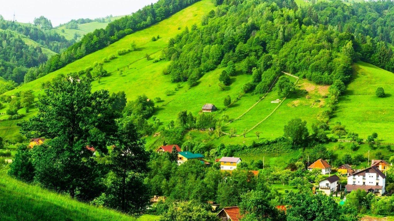 1366x768 Pasture Wallpaper with Beatiful Landscape HD Picture Photo