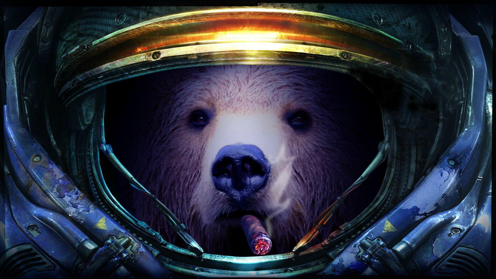 Маша и медведь космос слушать. Медведь космонавт. Медведь в космосе. Мишка в космосе. Медведь в скафандре.