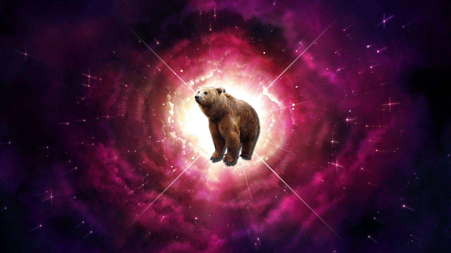 Space Bear Wallpapers Top Free Space Bear Backgrounds WallpaperAccess