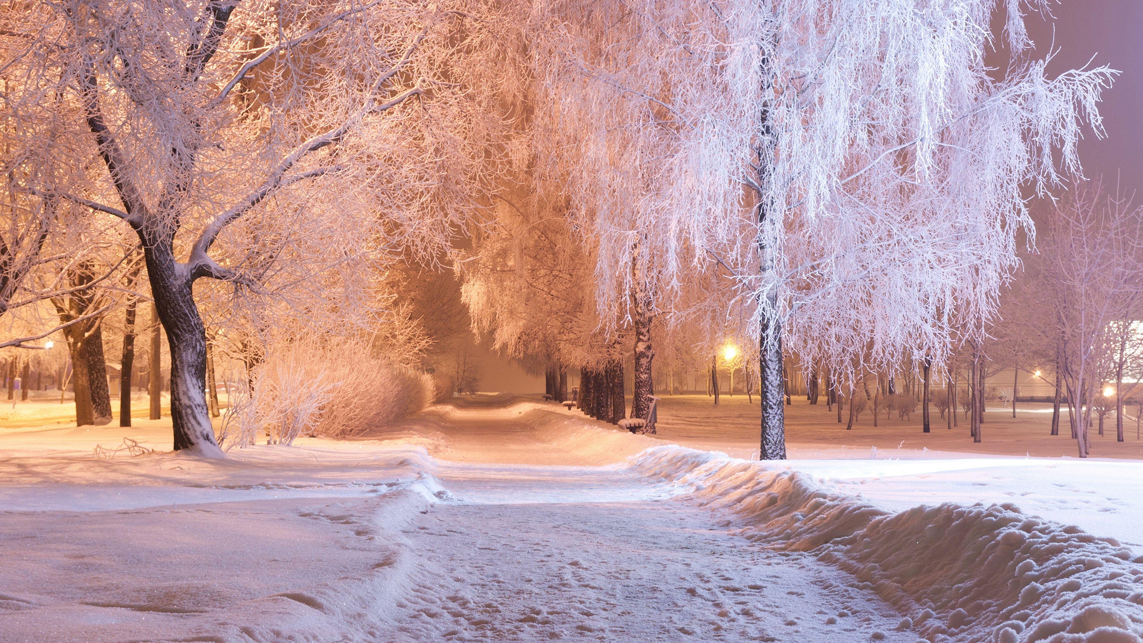 3840x2160 Wallpaper Winter Snow park Night Trees Cities 3840x2160