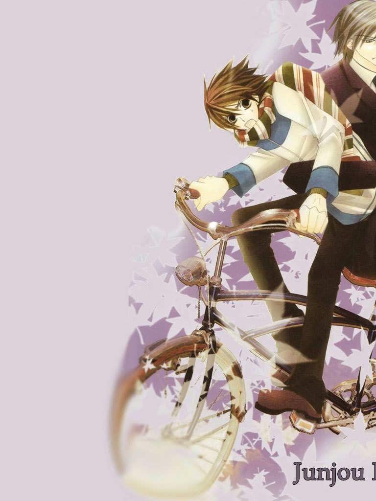 768x1024 Free download Junjou Romantica Anime Wallpaper Site 1280x1024