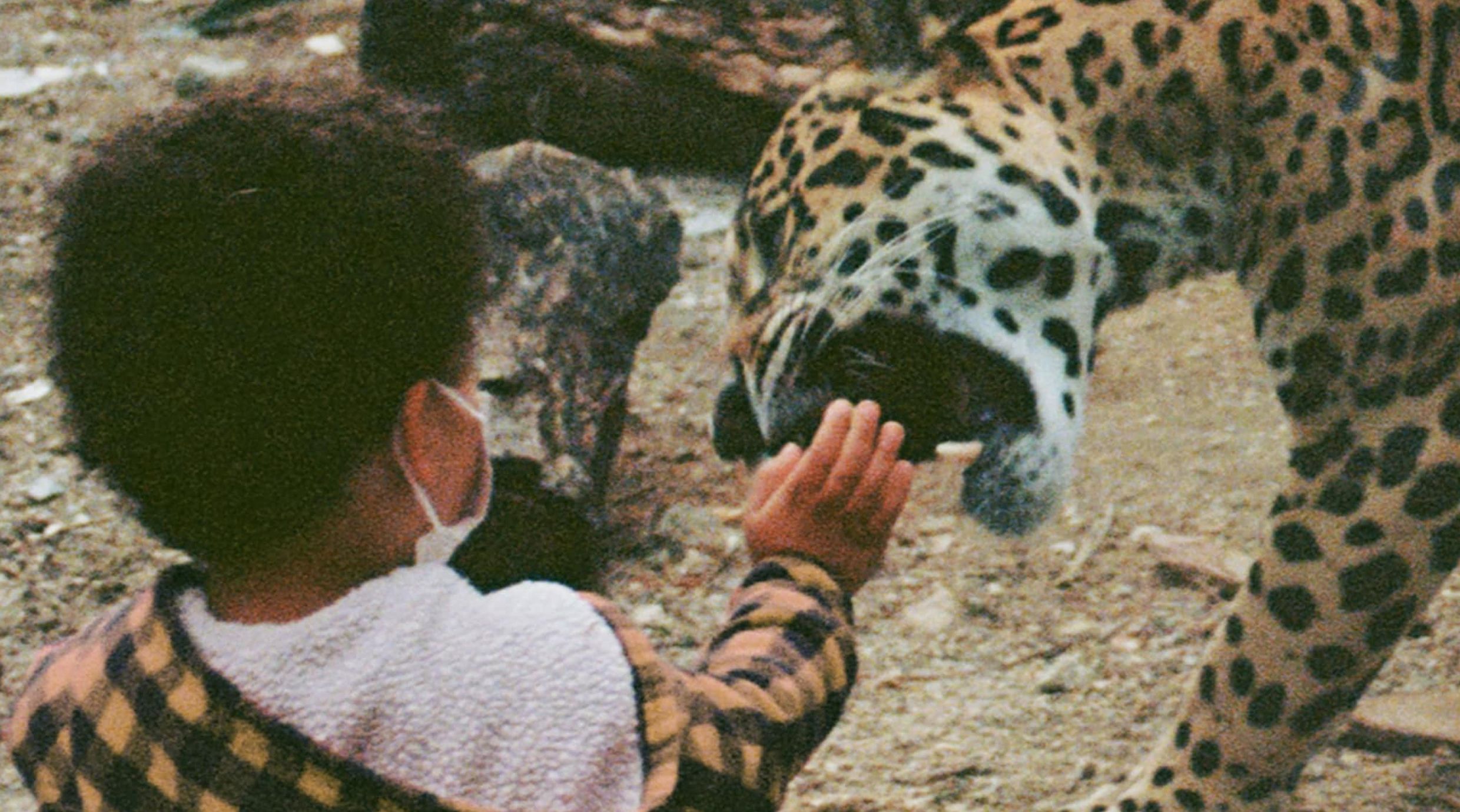 2480x1380 Unknown Mortal Orchestra Unveil Single / Video 'Layla'