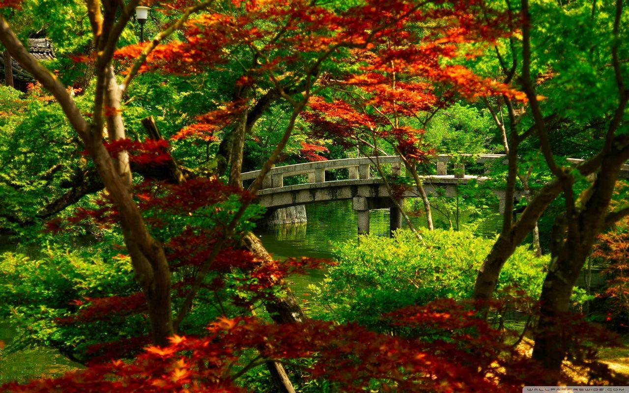 1280x800 Japanese Garden (Kyoto) ❤ 4K HD Desktop Wallpaper for 4K Ultra HD
