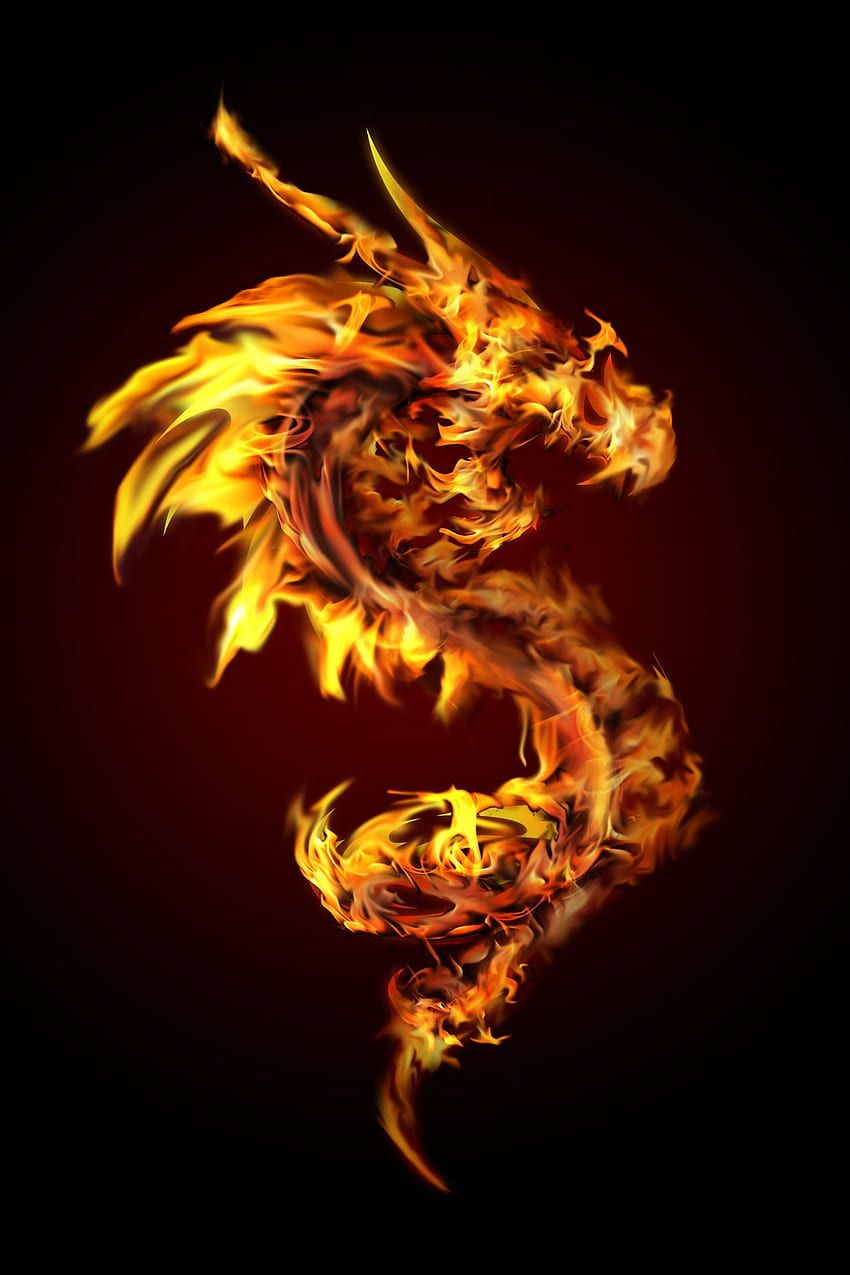 850x1275 Fire Dragon Symbol, Flaming Dragon HD phone wallpaper