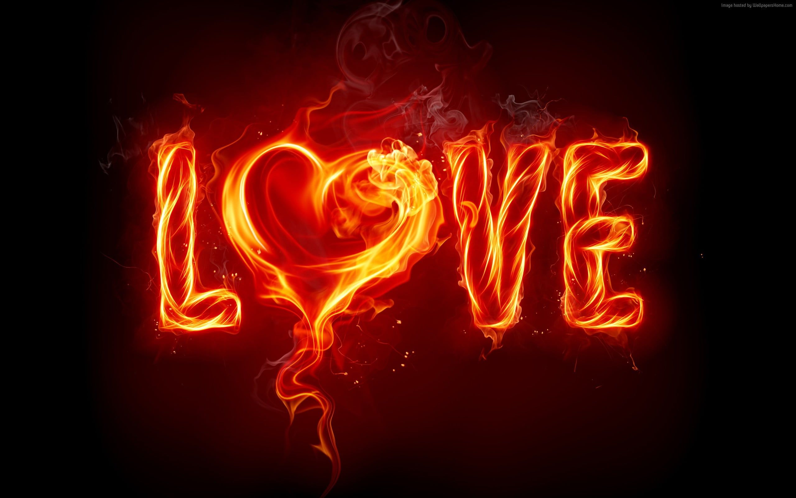 2560x1600 Love fire digital wallpaper HD wallpaper