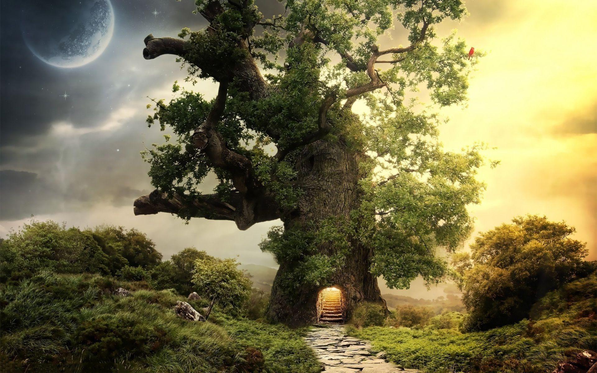 1920x1200 Fantasy Tree Picture